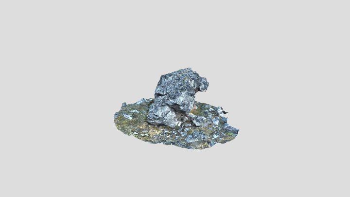 Upper Snake Erratic 3D Model