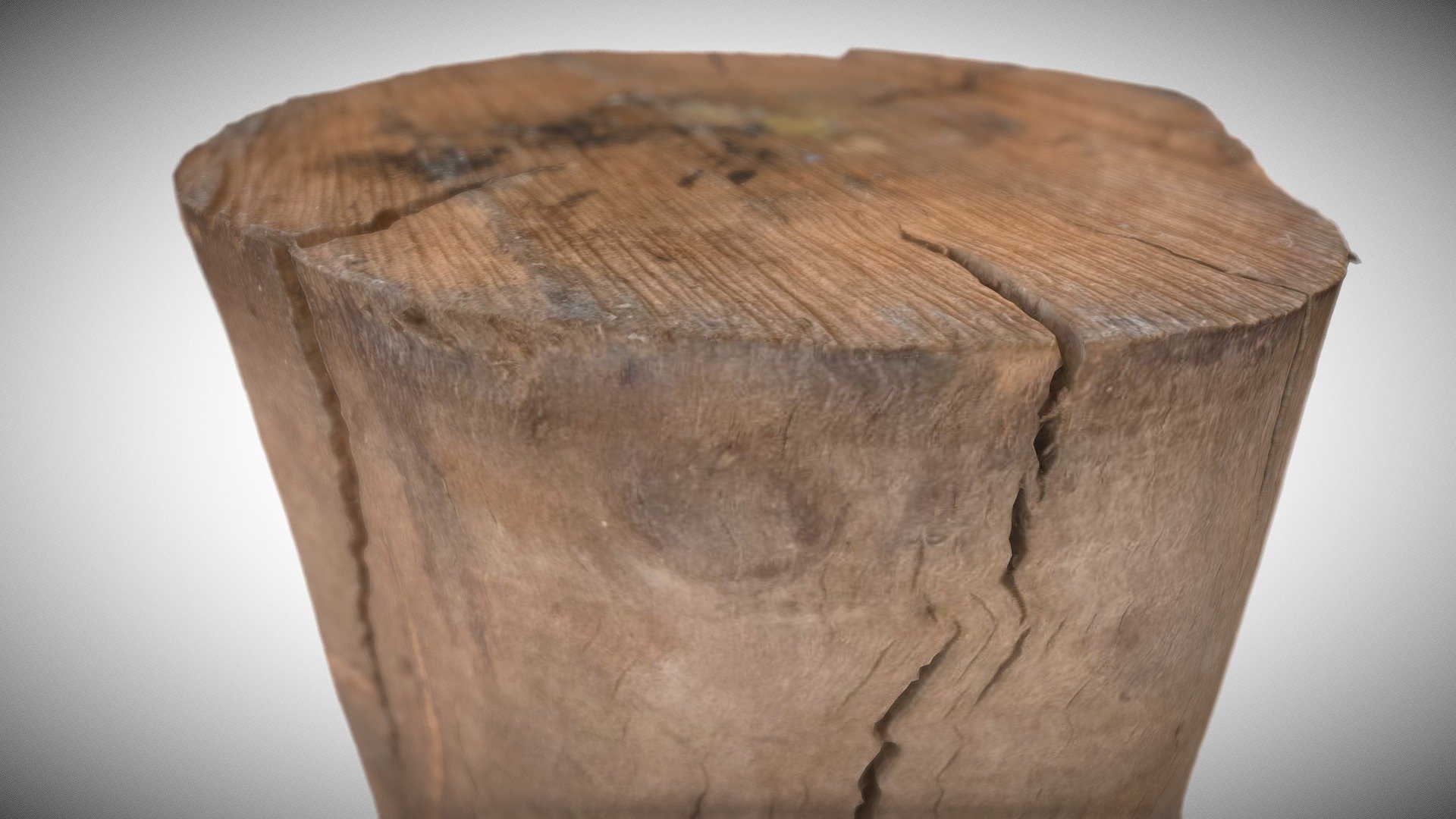 Wood2 from 3D Scanned Unreal Engine 5 project - Buy Royalty Free 3D ...