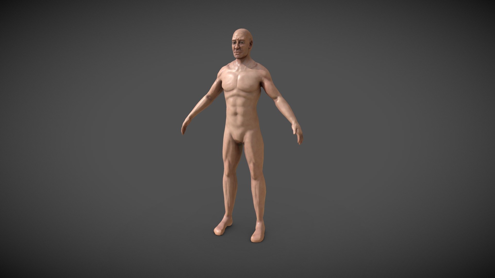 Anatomical Body