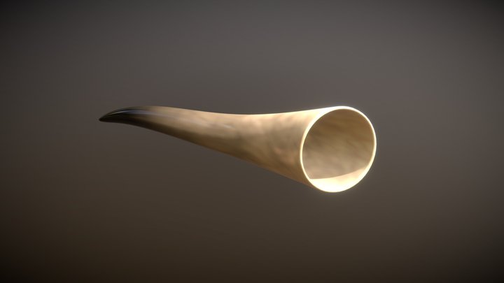 Drinking Horn 3D Model