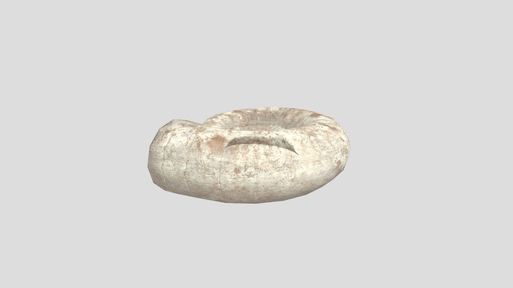 Limestone Ammonite Fossil