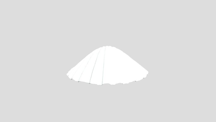 Pecten jacobaeus Sea Shell 3D Model