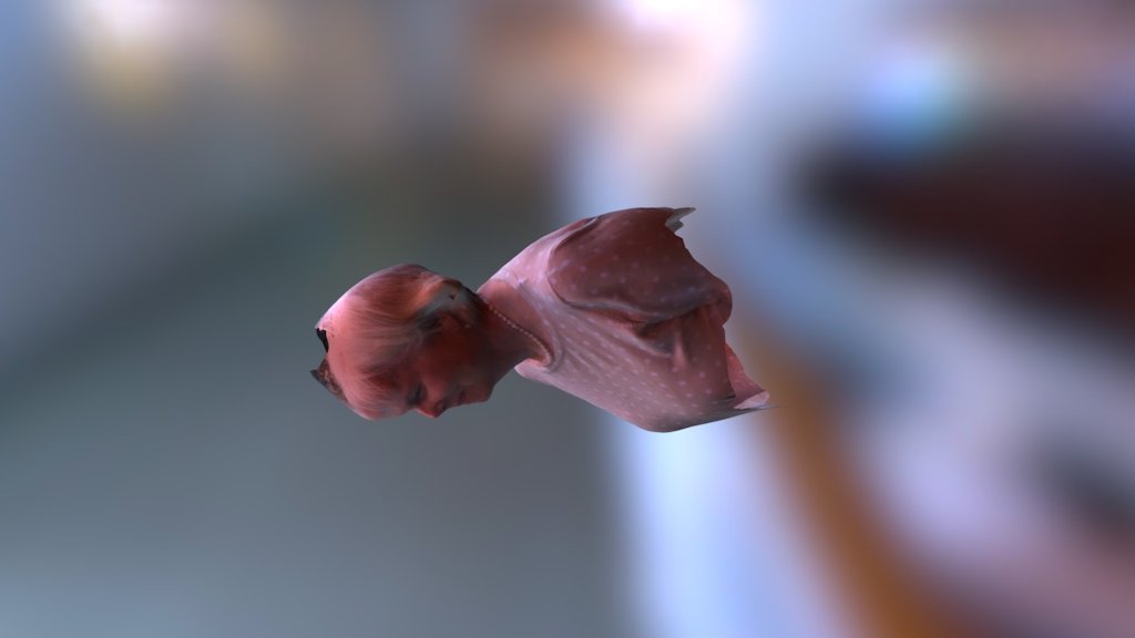 Test — Sketchfab embed 3D viewer