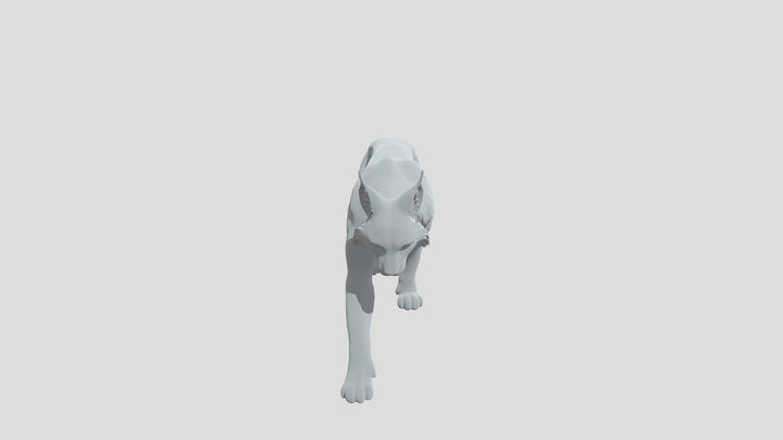 Lynx on the Move 3D Model
