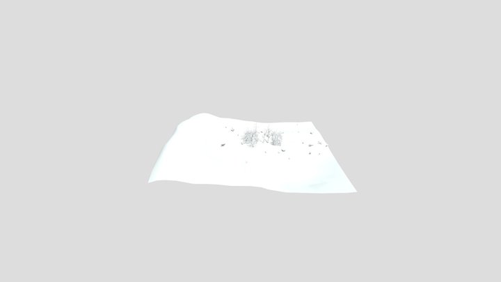 CRAWLER 3D Model