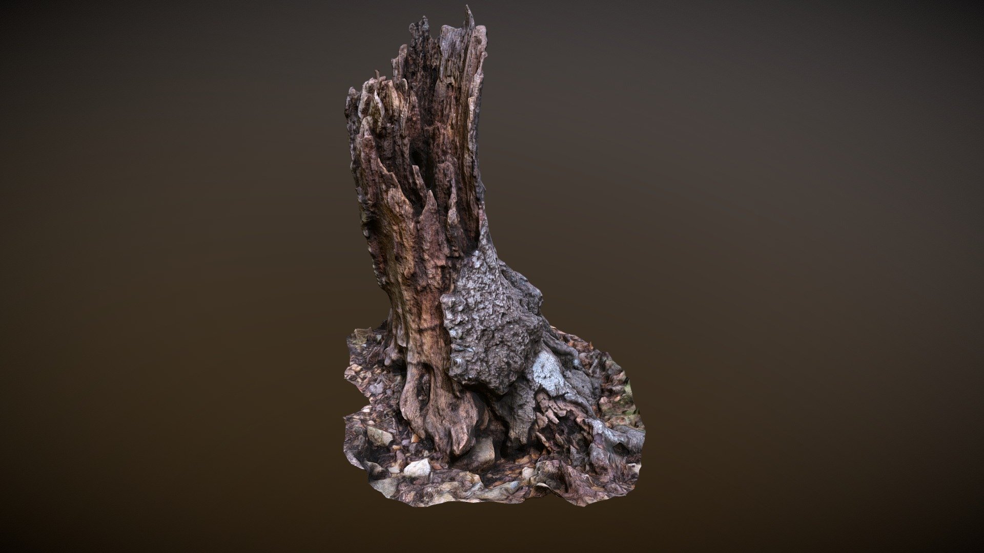 Photoscanned Dead Oak Stump - Download Free 3D model by chrisg4919 ...