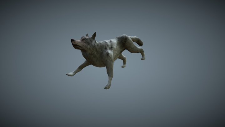 Low Poly wolf