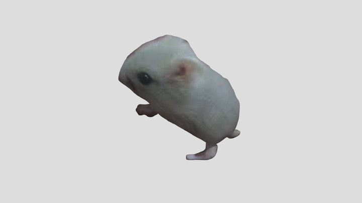 Mm Project 3D Model