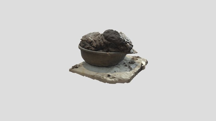 Collected Cow dung 3D Model