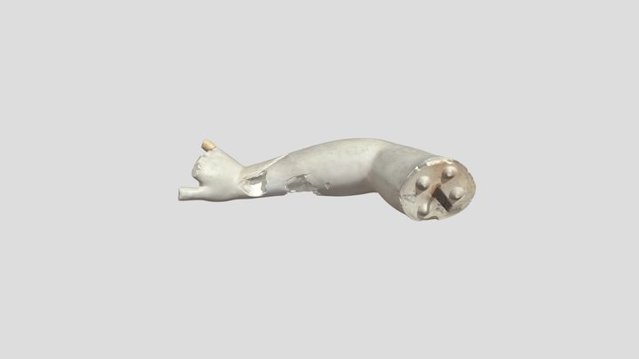 Farnesischer Stier - r. Arm Dirke (G 661) 3D Model