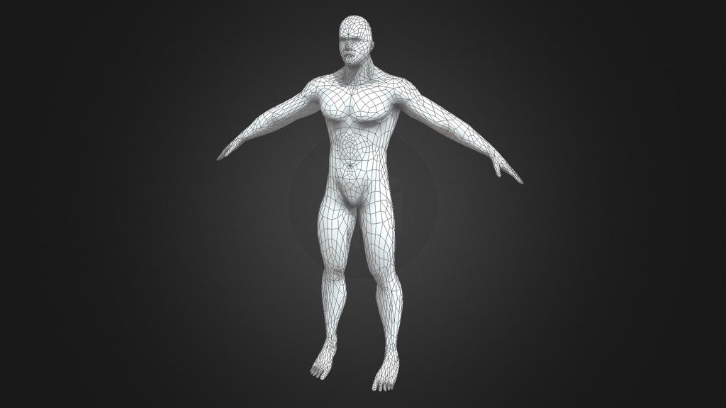Low Poly Male Body Base