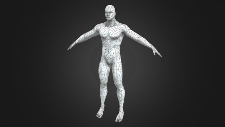Low Poly Male Body Base 3D Model