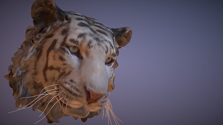 Tiger 3D models - Sketchfab