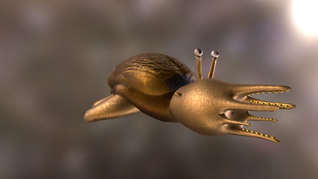 Octohead Turtle