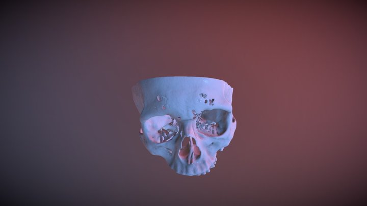skull base 3D Model
