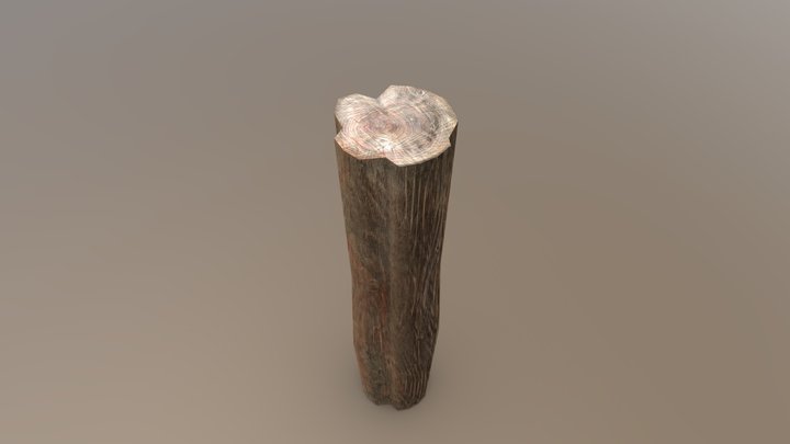 Wood Log 3D Model