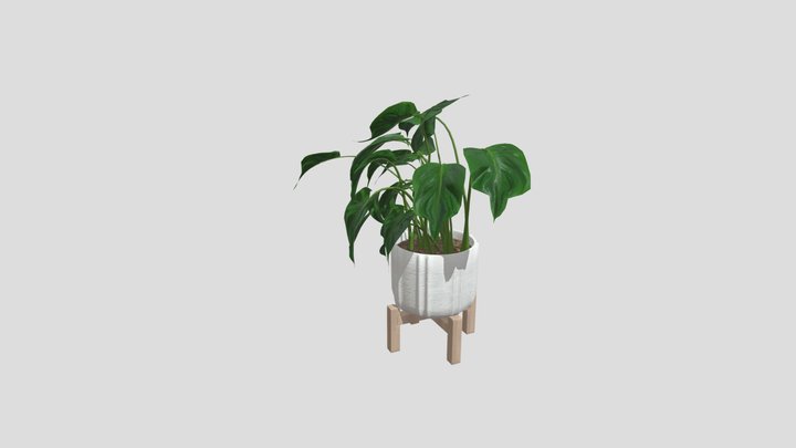 Plant – Modello 3D gratuito STL