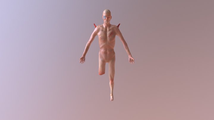 Frank 3D Model