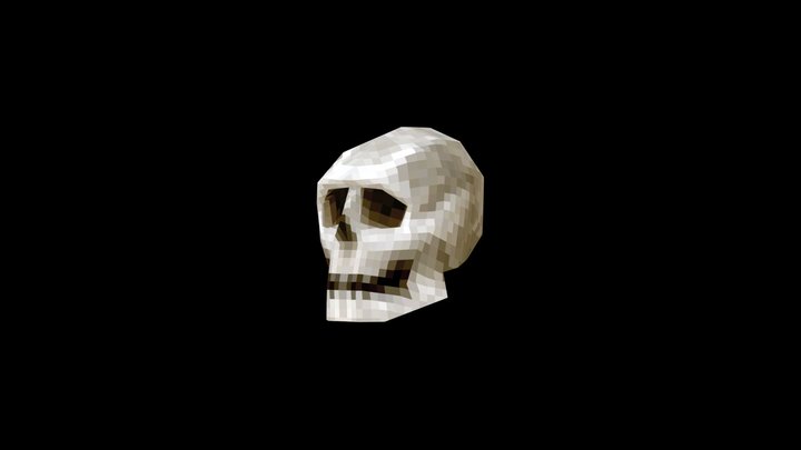 Skull 3D Model