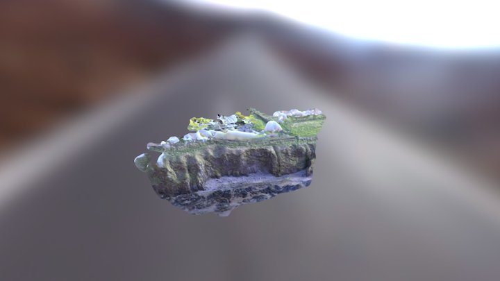 Cliff Face 3d Model 3D Model