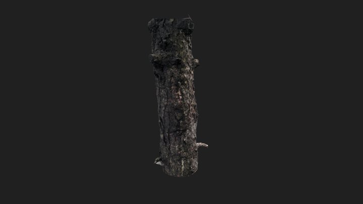 Tree 01 LOD0 3D Model