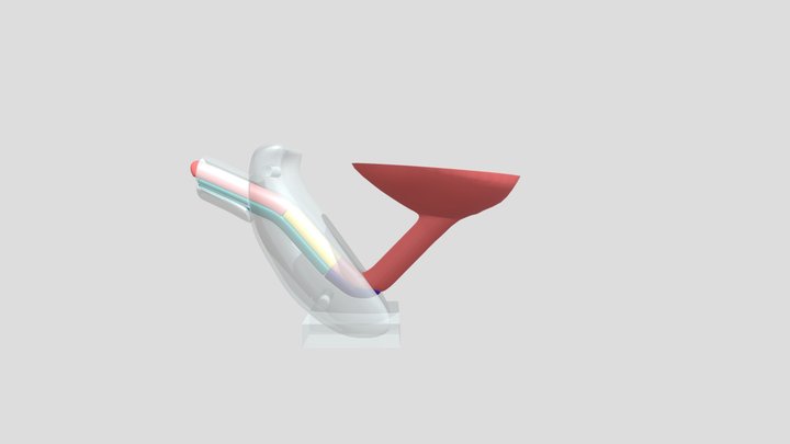 Metoidioplasty Anatomy 3D Model
