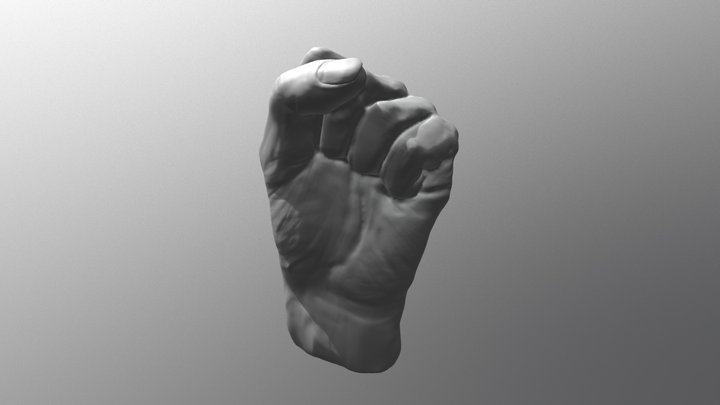 Fist Study 3D Model