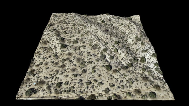 Yucca Valley, California 3D Model