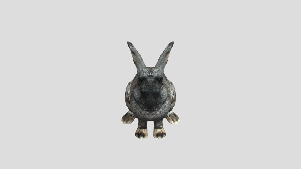 Two Rabbits on a Blue Grid Floor