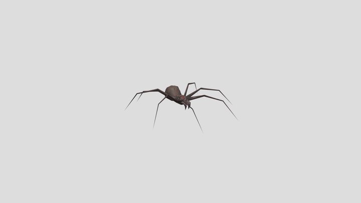 granny-horror-game-spider 3D Model