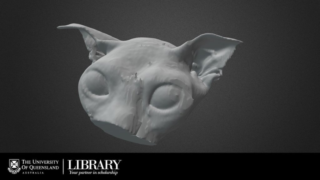 Feline Skin
