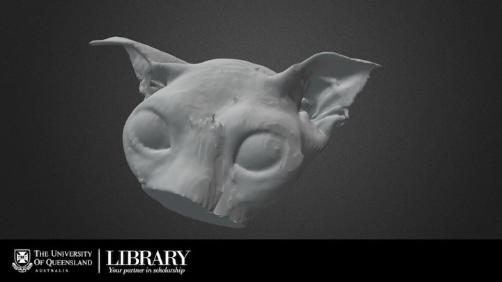 Feline Skin 3D Model