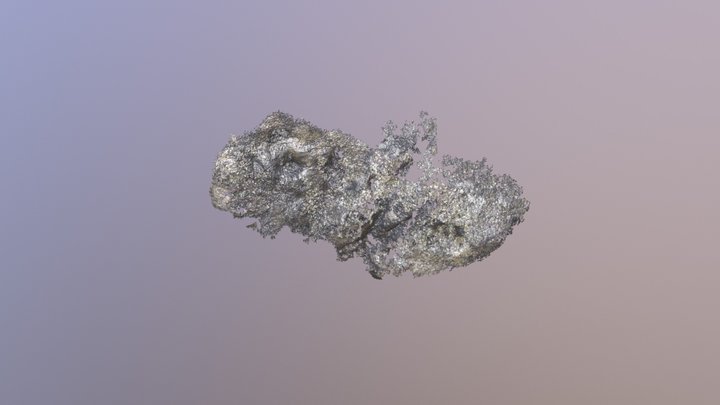 3 3D Model