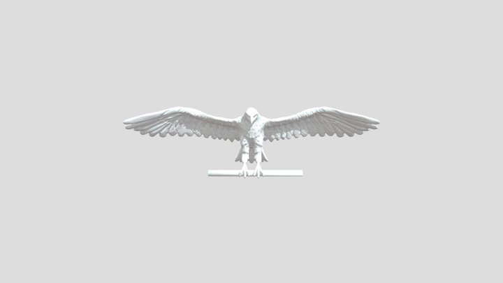 eagle model sculpt 3D Model