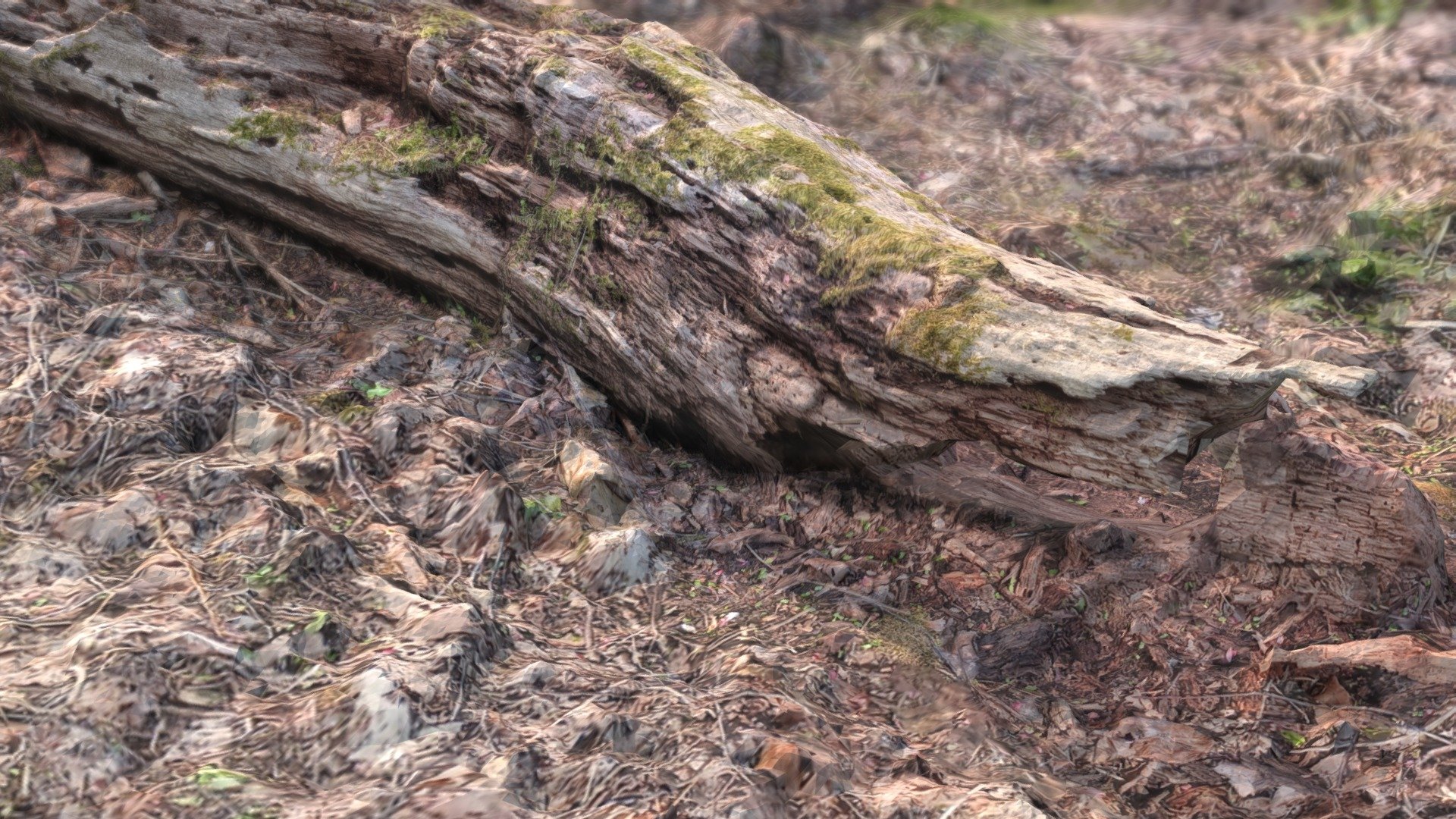 Log (Photogrammetry)