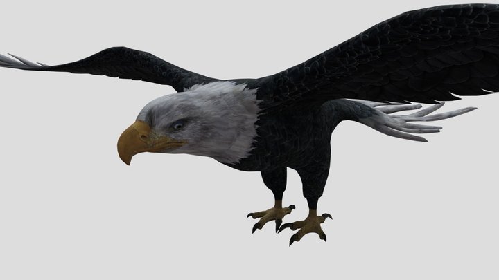Eagle – Kostenloses 3D-Modell STL