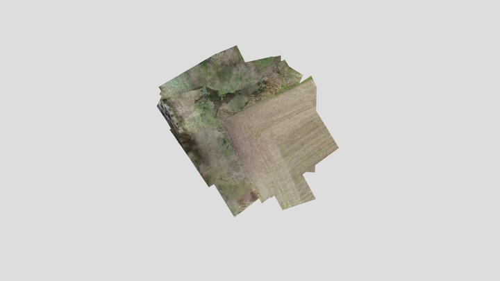 Dunmore House 3D Model
