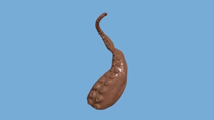 Tentacle 3D Model