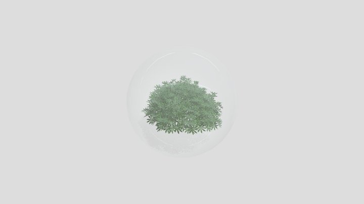 Bush Ball 3D Model