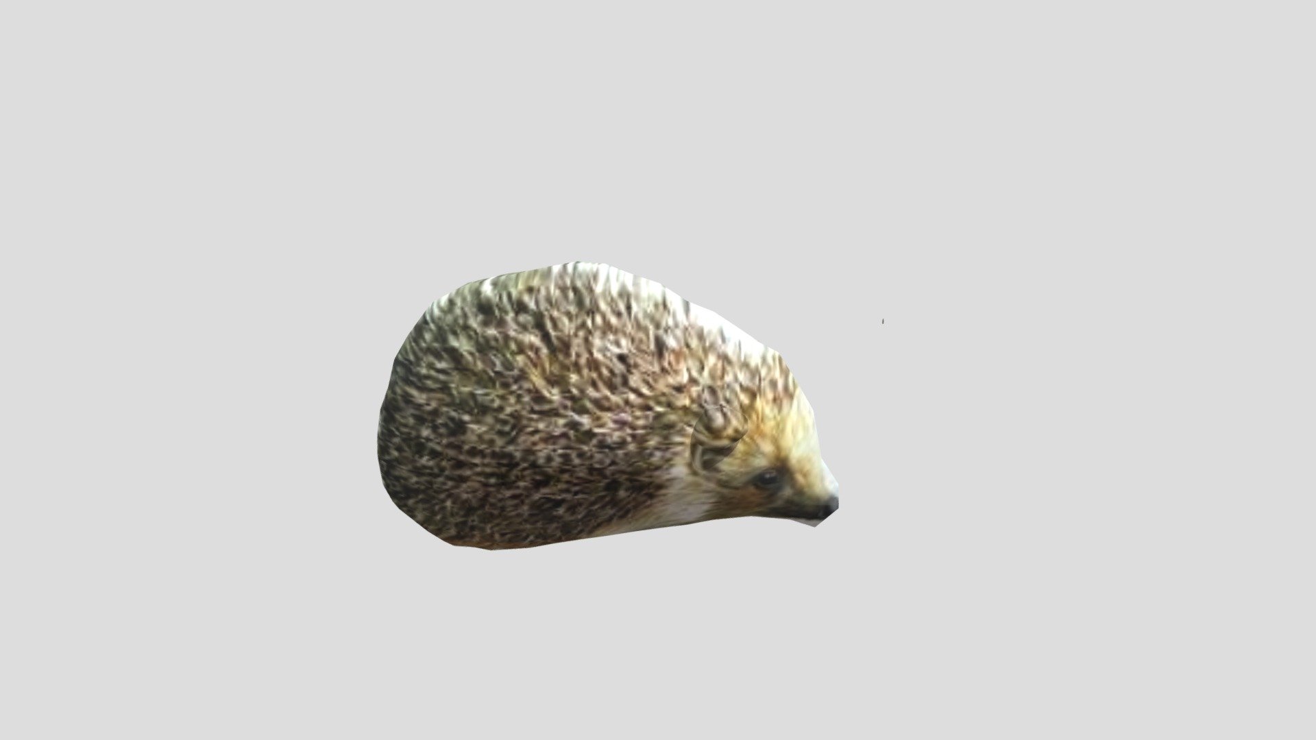 31632
