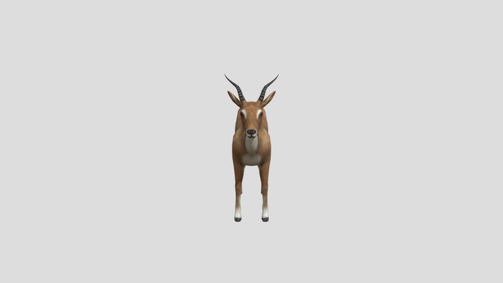 Antelope