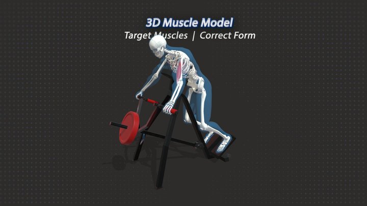 93. Chest Supported t-Bar Row 3D Model