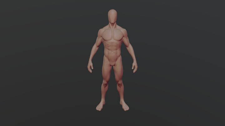 Anatomy Study 3D Model
