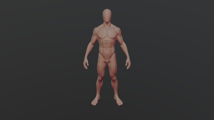 Anatomy Study 3D Model