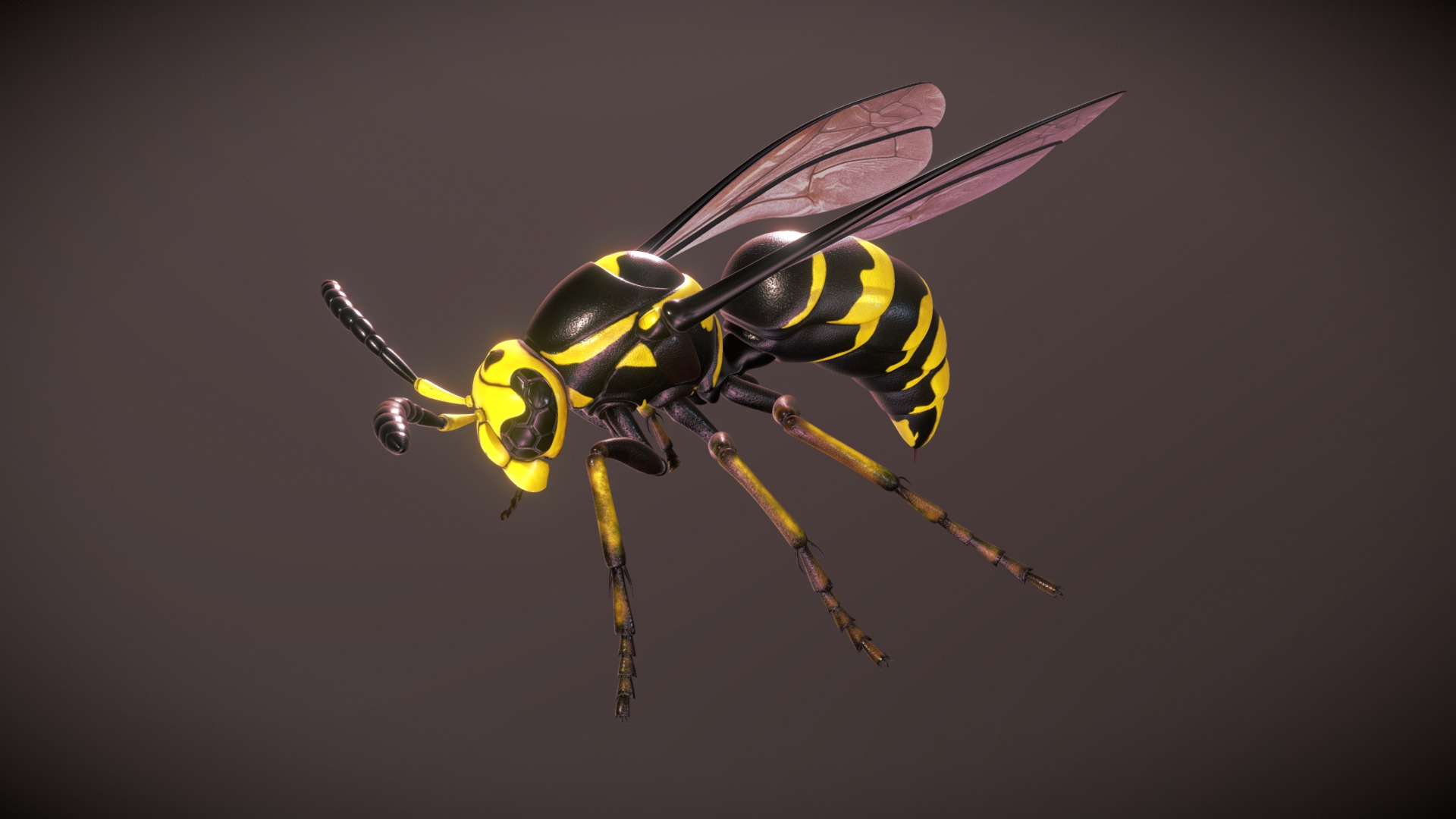 3D model Wasp - This is a 3D model of the Wasp. The 3D model is about a close-up of a bee.