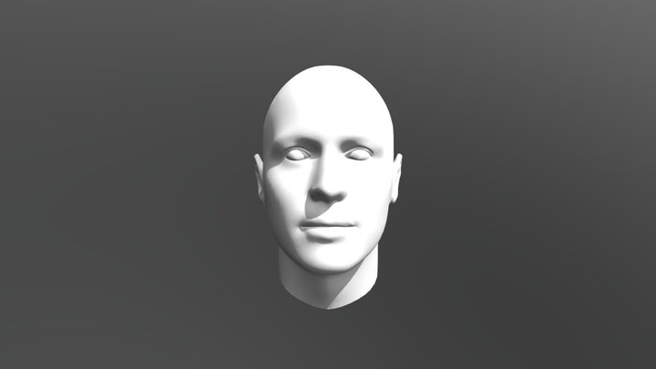 Face Occluder 3D Model