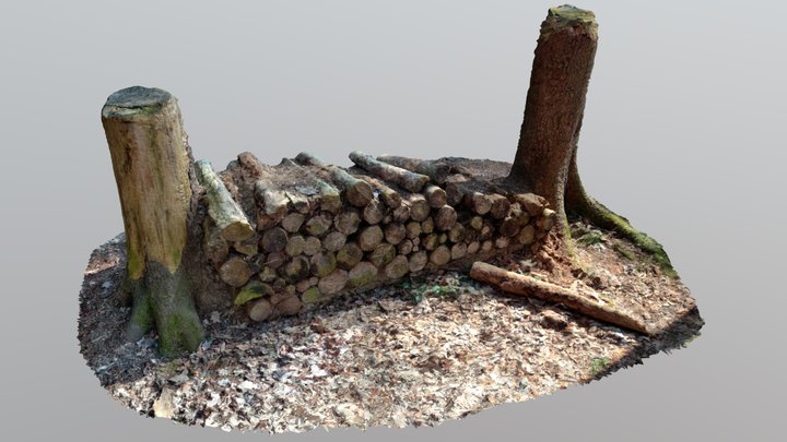 Forest Logs 3D Model