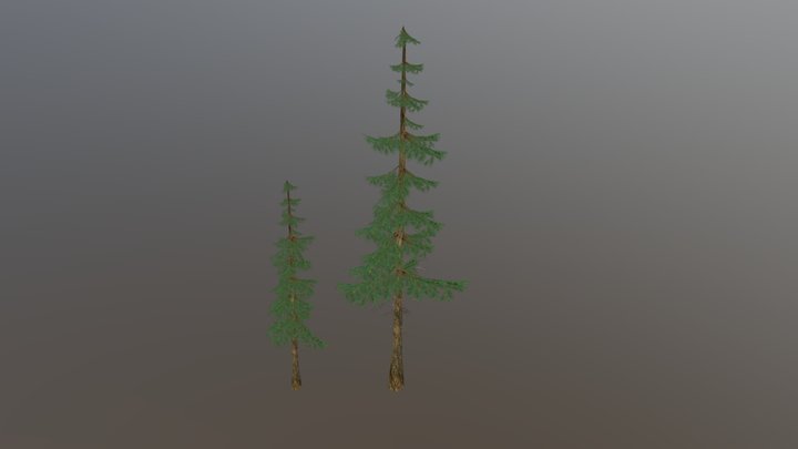 drzewa 3D Model