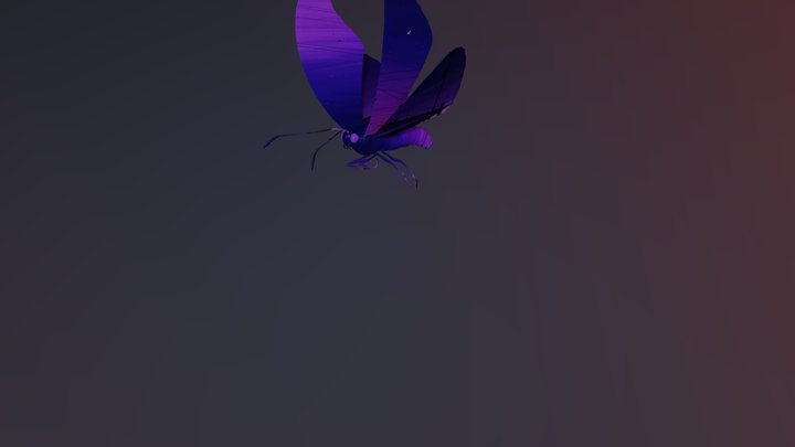 Night fluttering butterfly (male)