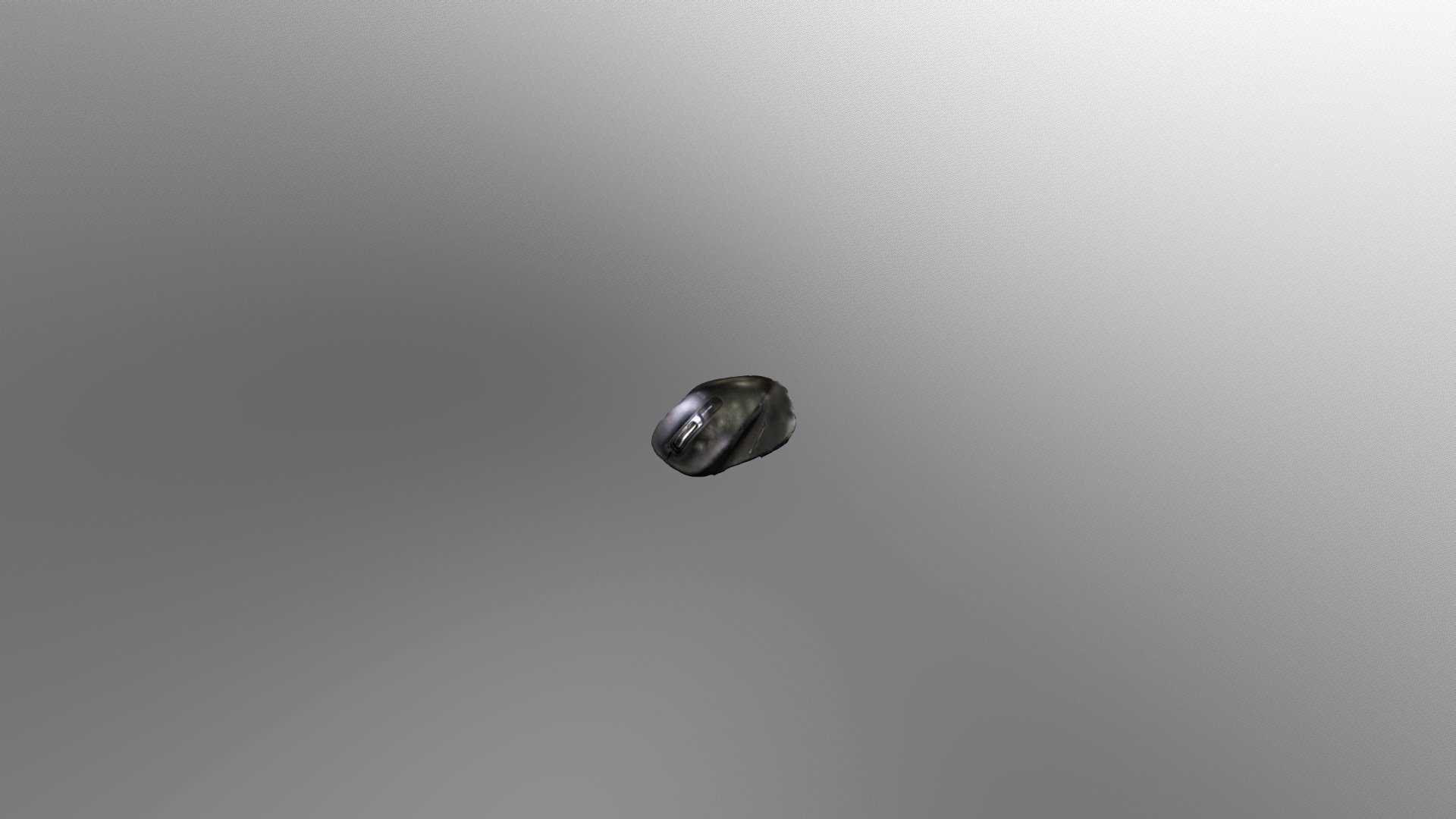 mouse